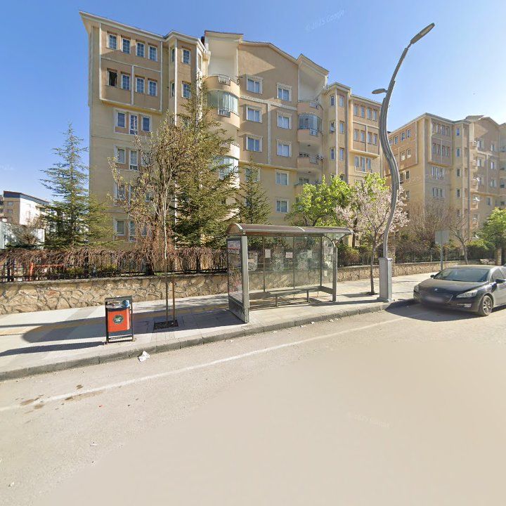Fotoğraf 9