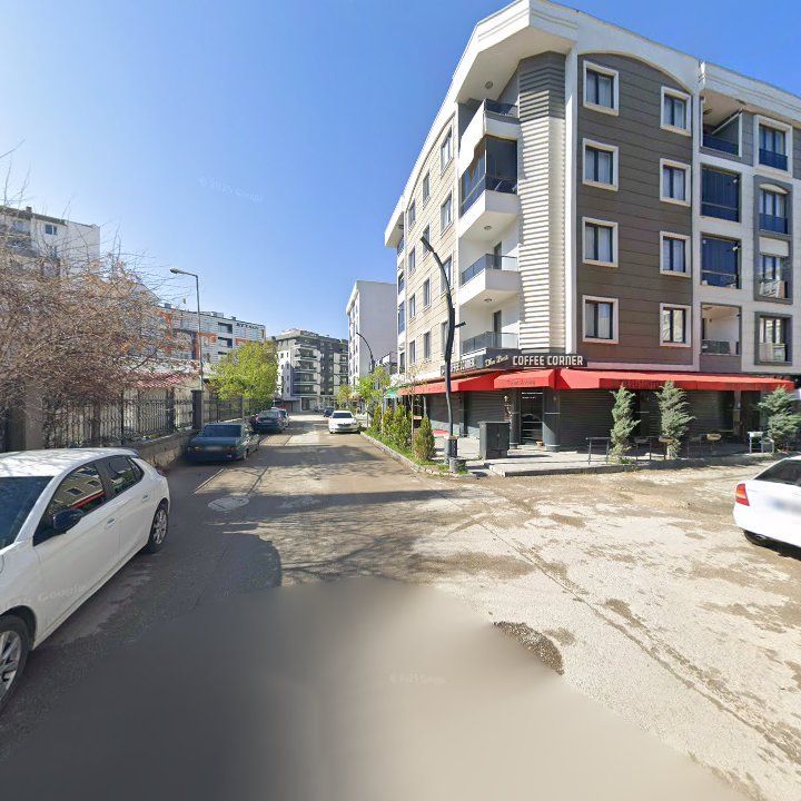Fotoğraf 12