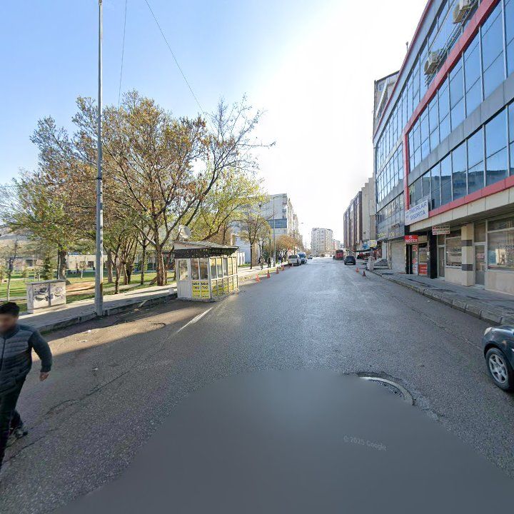 Fotoğraf 9