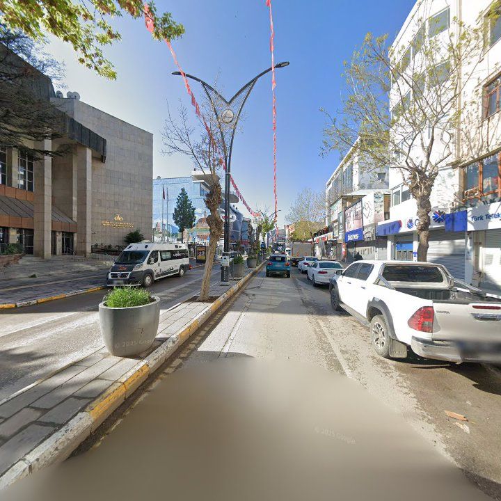 Fotoğraf 11