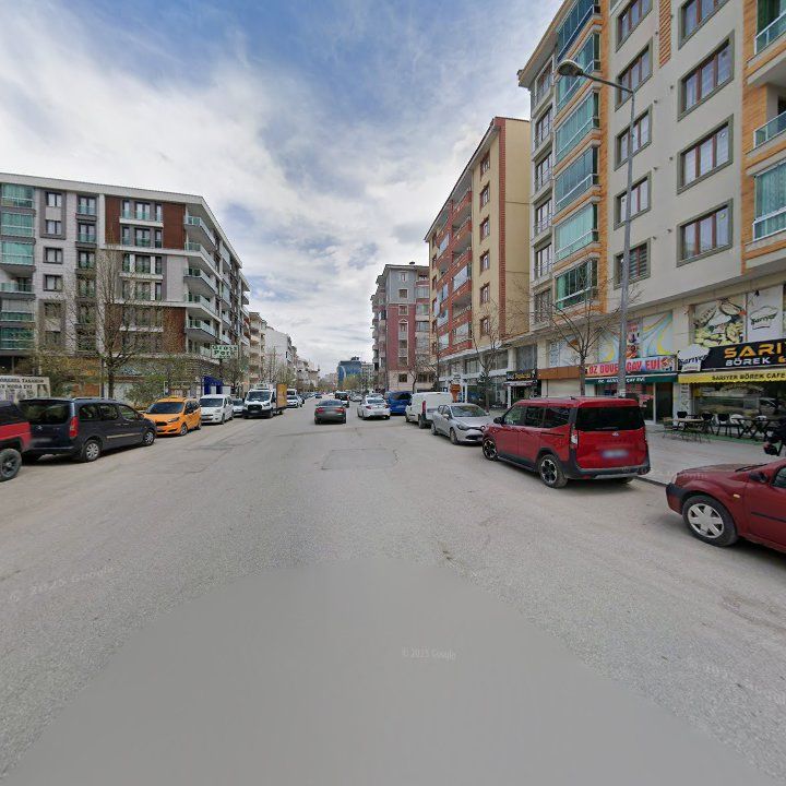 Fotoğraf 13