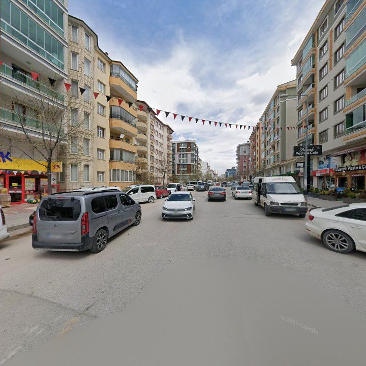 Fotoğraf 13