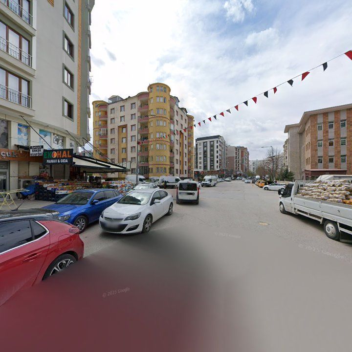 Fotoğraf 11