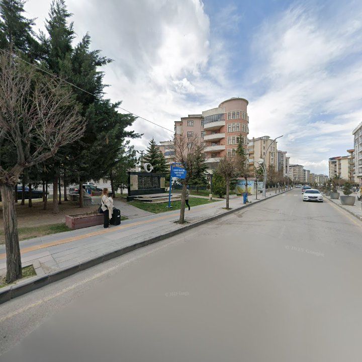 Fotoğraf 9