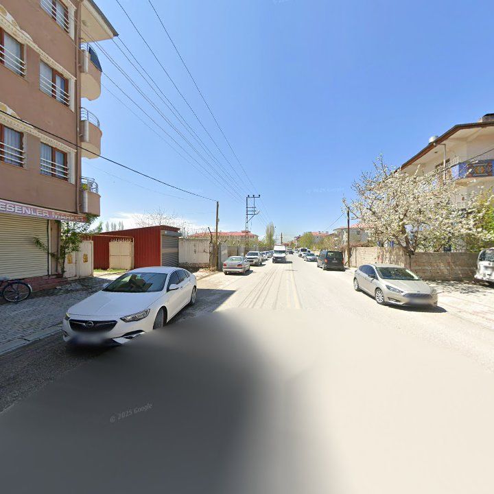 Fotoğraf 10