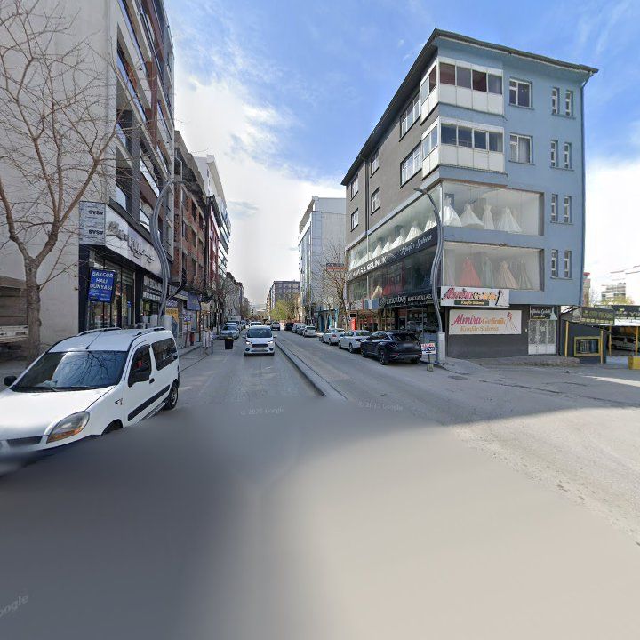 Fotoğraf 8