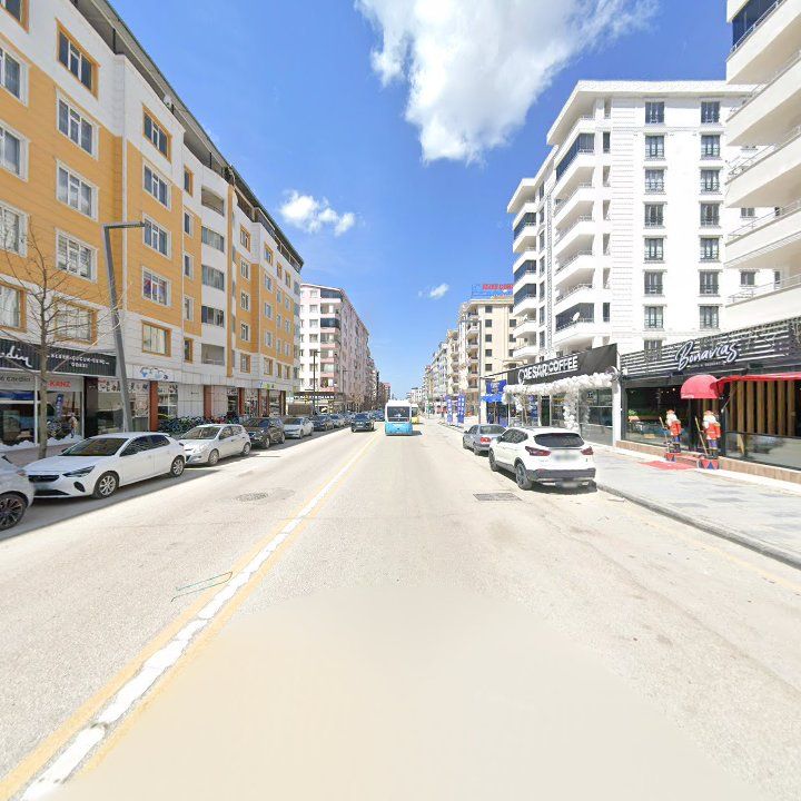 Fotoğraf 12