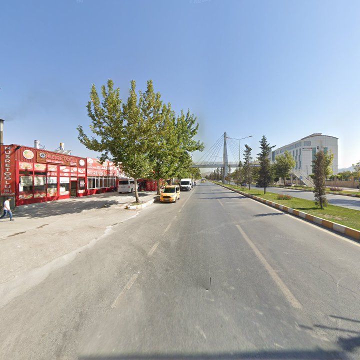 Fotoğraf 8