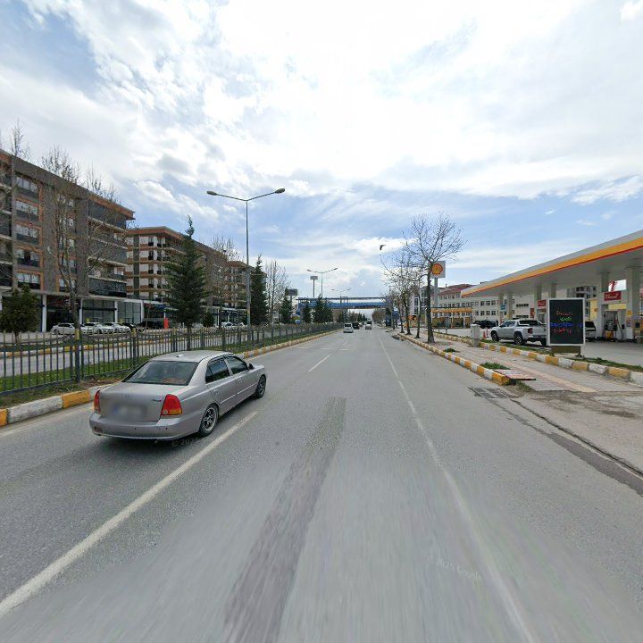 Fotoğraf 11