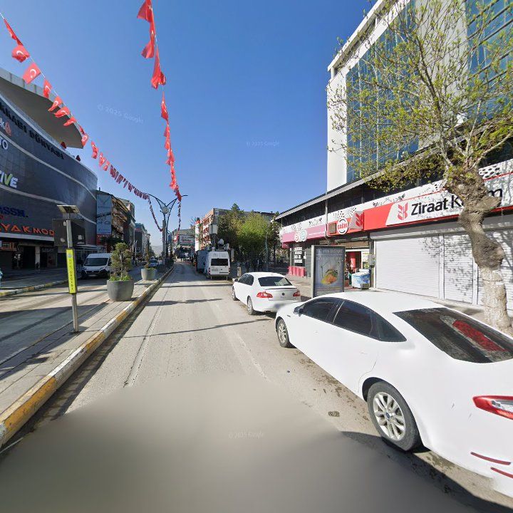 Fotoğraf 8