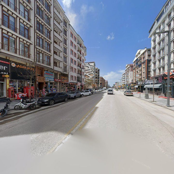Fotoğraf 11