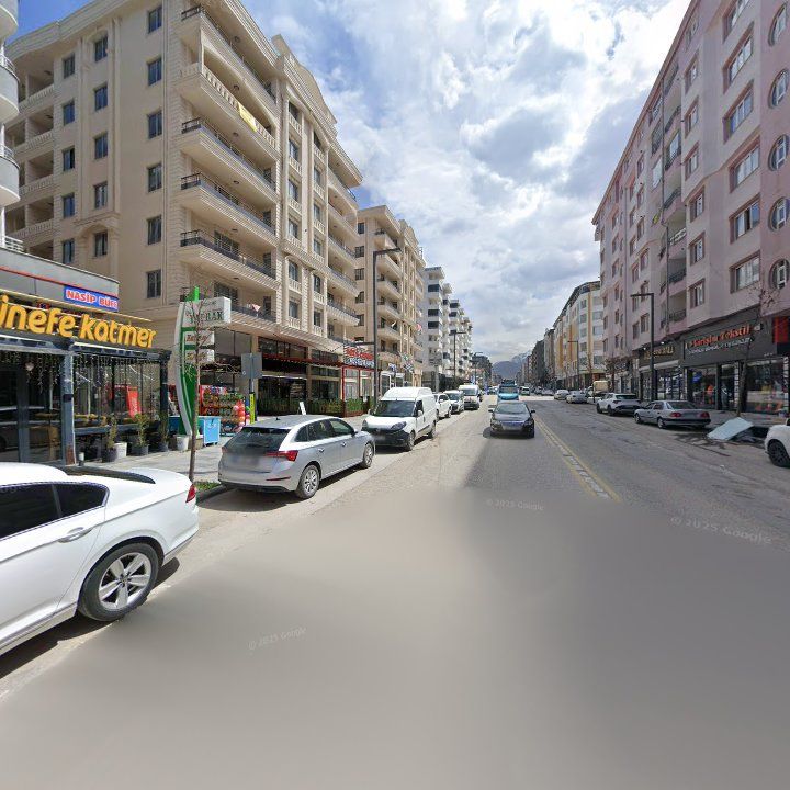 Fotoğraf 9