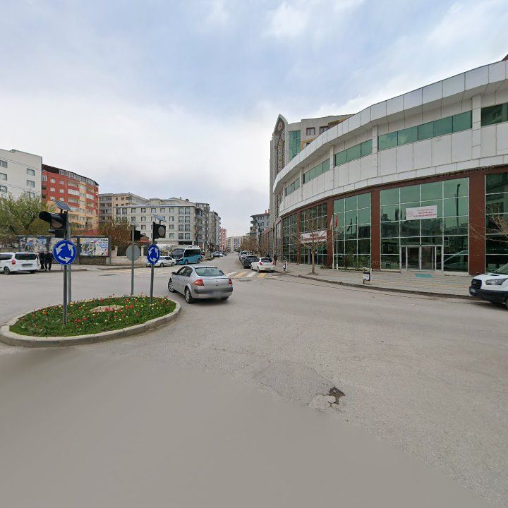 Fotoğraf 9