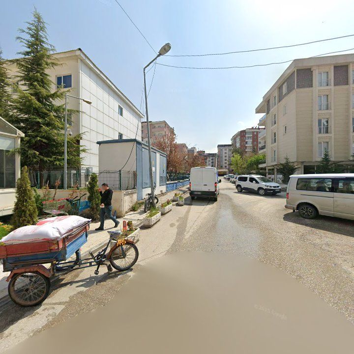 Fotoğraf 11