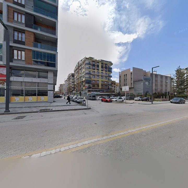 Fotoğraf 11