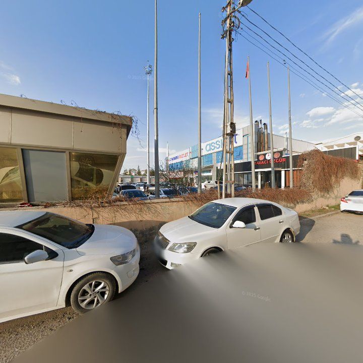 Fotoğraf 11