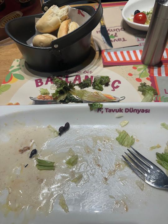 Tavuk Dünyası Van Cadde