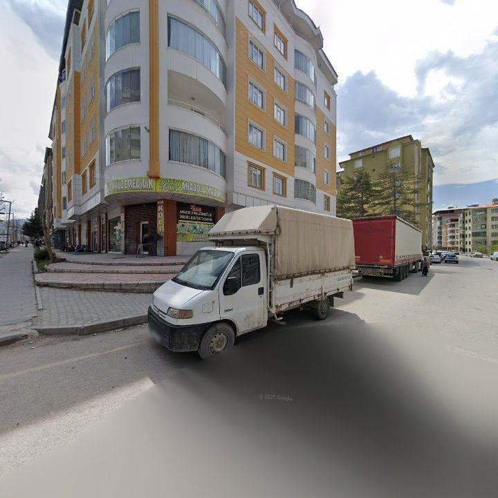 Fotoğraf 8