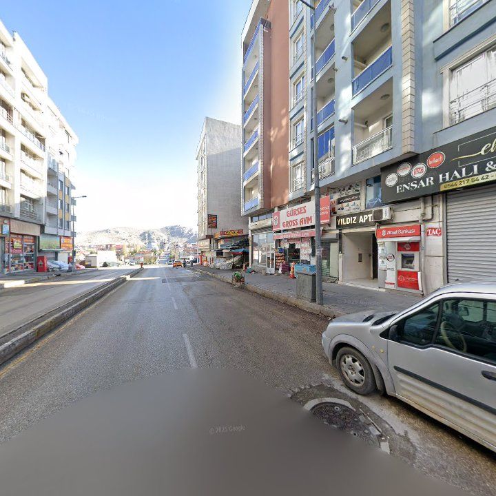 Fotoğraf 12