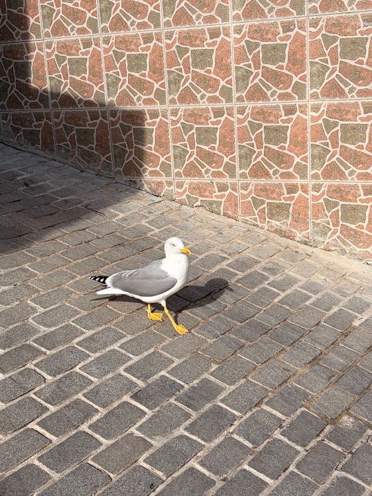 Fotoğraf 34