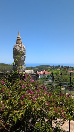 Yorum fotoğrafı 3