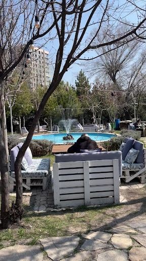 Yorum fotoğrafı 6