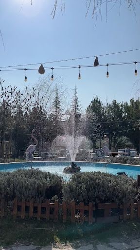 Yorum fotoğrafı 7