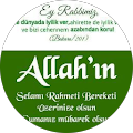 irfan aras