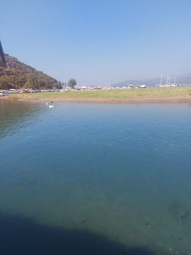 Yorum fotoğrafı 8