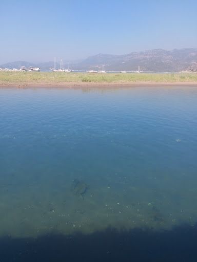 Yorum fotoğrafı 9