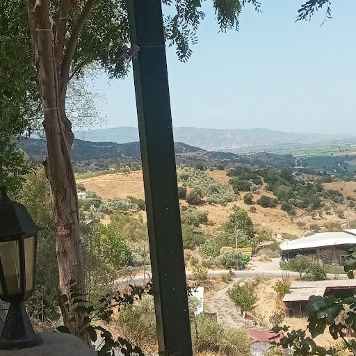 Fotoğraf 20