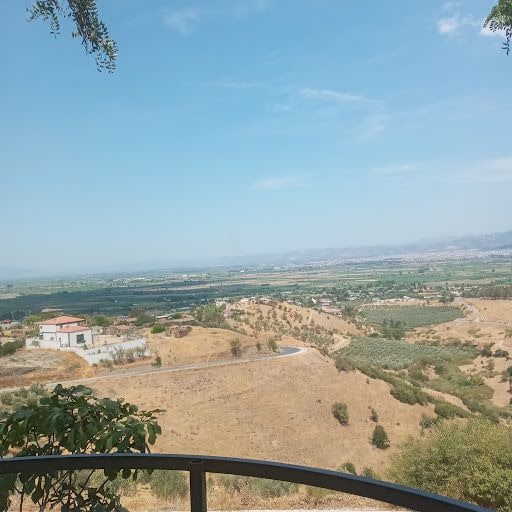 Fotoğraf 21