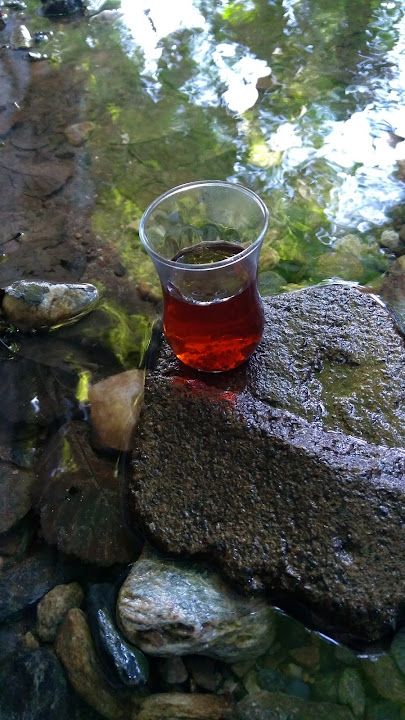 Fotoğraf 12