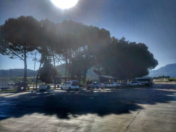 Yorum fotoğrafı 3