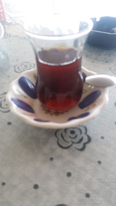 Fotoğraf 16