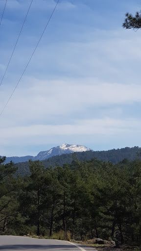Yorum fotoğrafı 5
