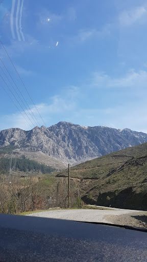 Yorum fotoğrafı 6