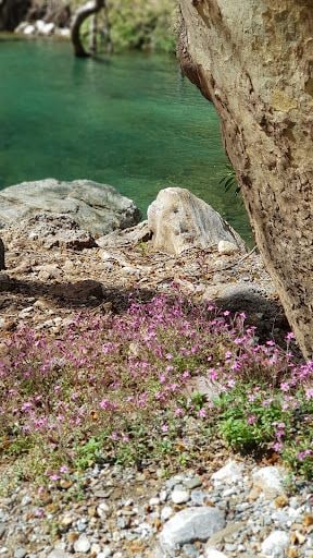 Yorum fotoğrafı 8