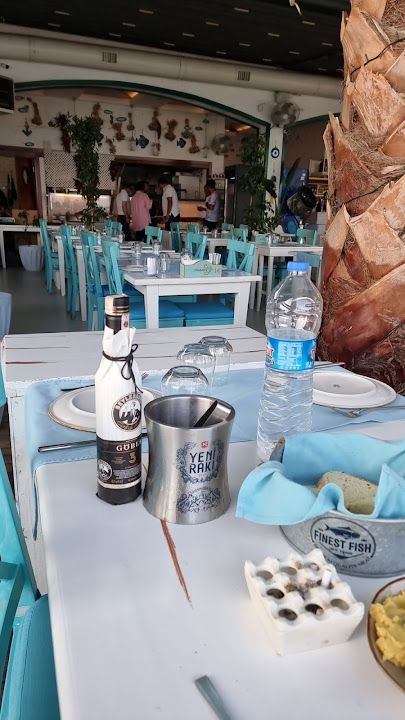 Fotoğraf 30