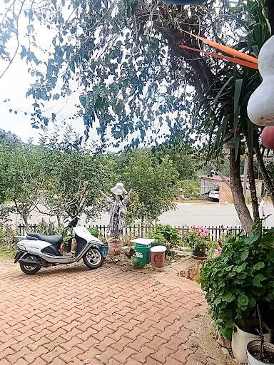 Yorum fotoğrafı 3