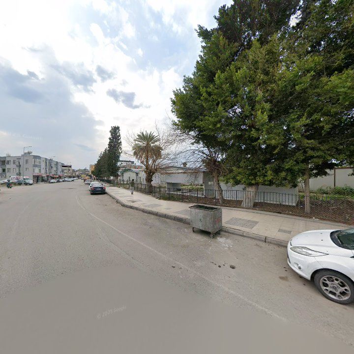 Fotoğraf 4