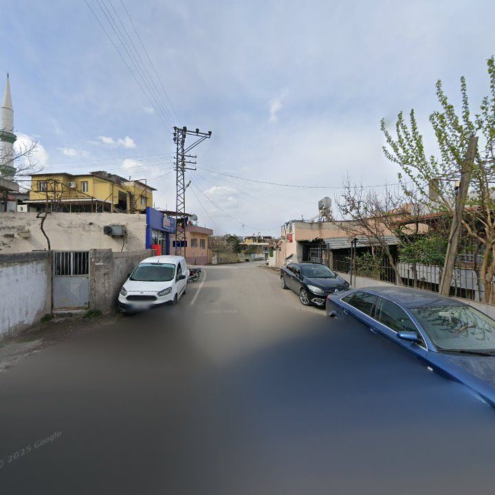 Fotoğraf 3