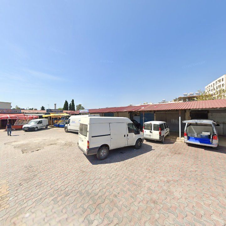 Fotoğraf 5