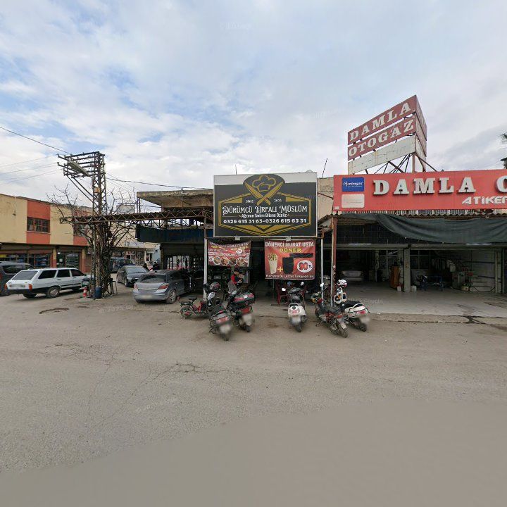 Fotoğraf 5