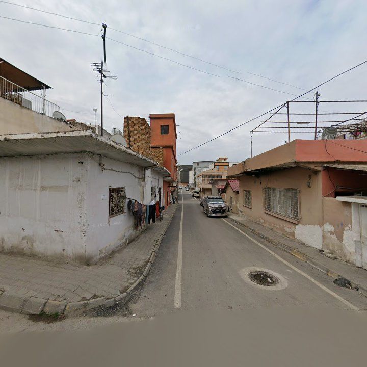 Fotoğraf 3