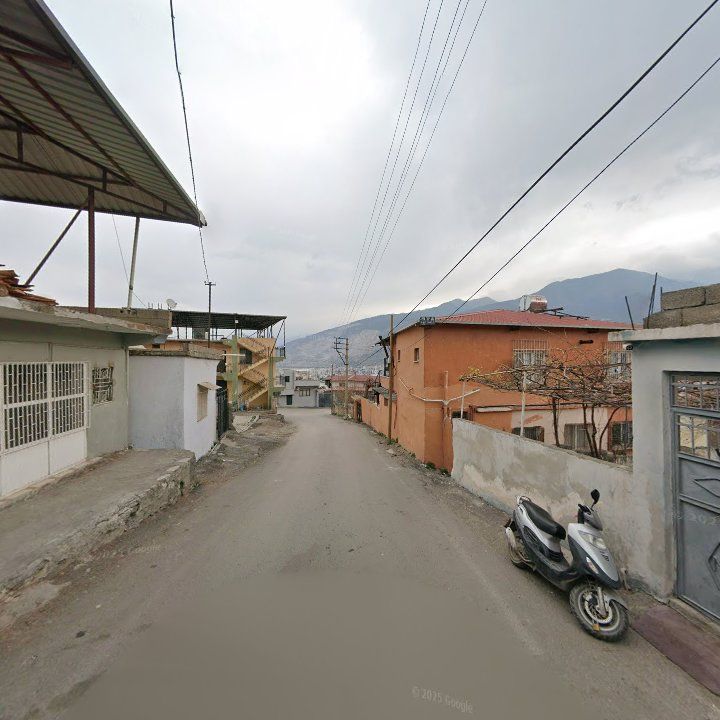 Fotoğraf 3