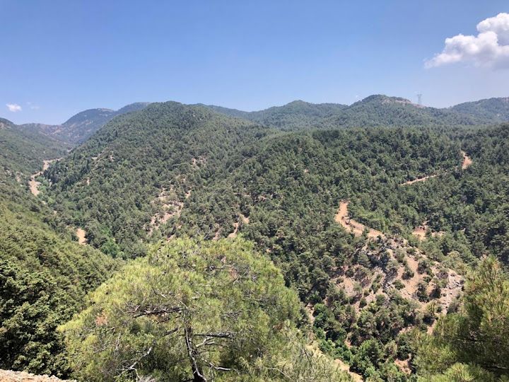 Kozaklı Köyü Muhtarlığı