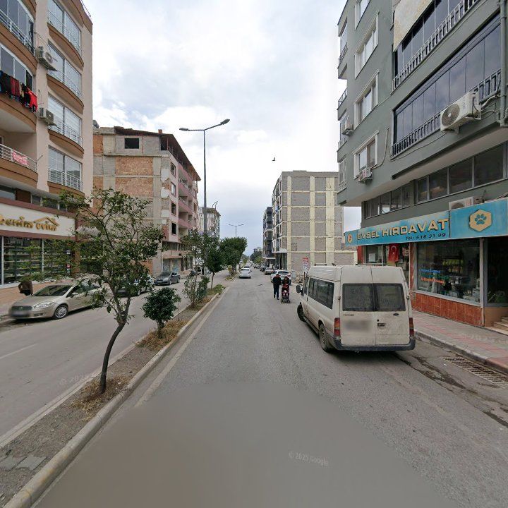 Fotoğraf 5