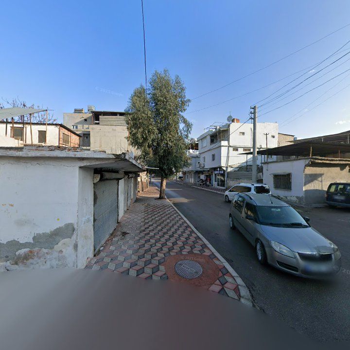 Fotoğraf 5
