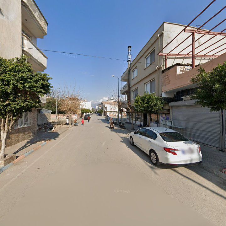 Fotoğraf 5
